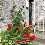 La Dolce *