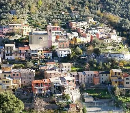 La Dolce Teriasca